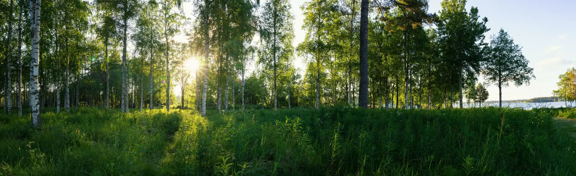 Byta FTX-aggregat Timrå
